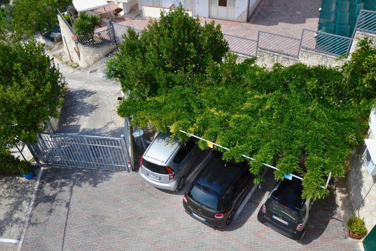 B&B Il Giardino Stellato Вьесте Экстерьер фото